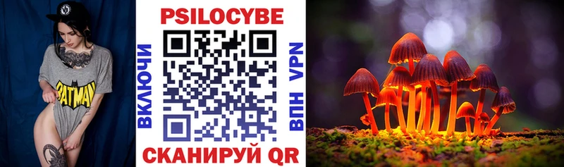 ОМГ ОМГ сайт  Магас  Псилоцибиновые грибы GOLDEN TEACHER 
